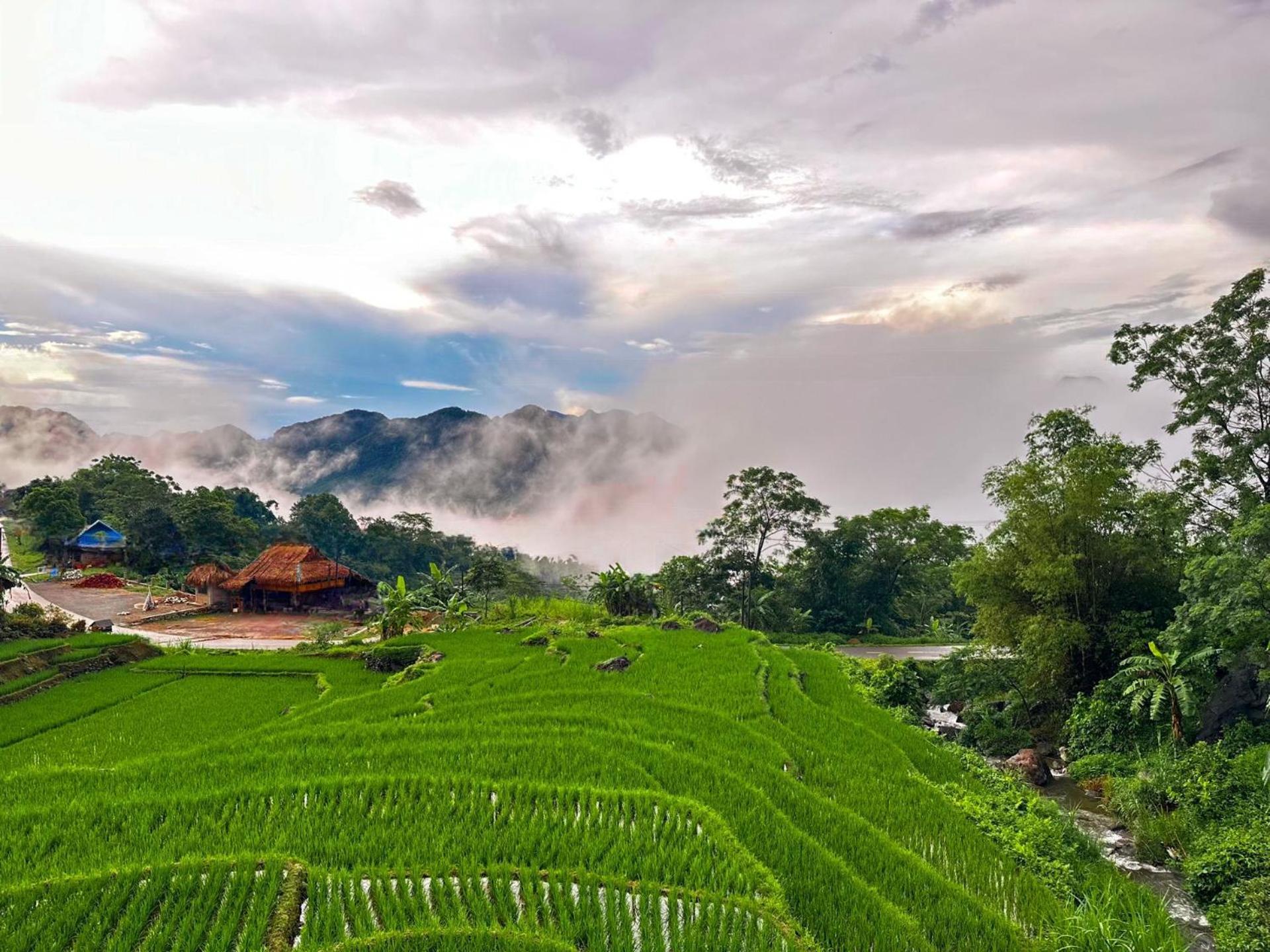 Pu Luong Jungle Lodge Exterior foto
